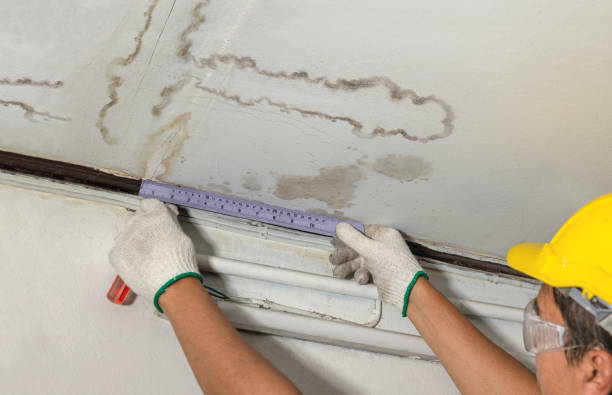 Reliable Water Damage contractor in Billerica, MA by Water Damage Irwin